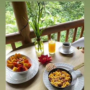  Couette-café La Nube Eco-hotel Colombie