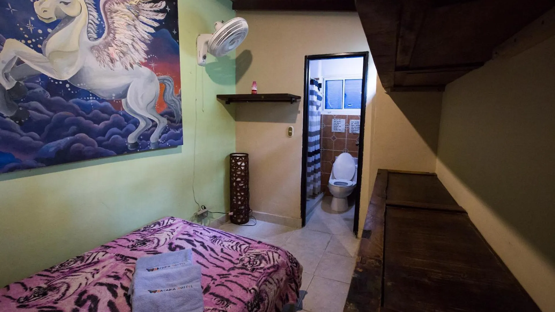 Arcadia Hostel 麦德林 哥伦比亚